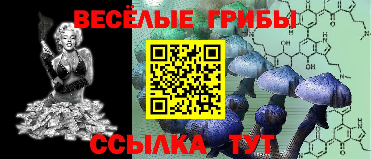 Псилоцибиновые грибы Cubensis Иваново