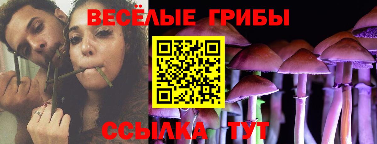 Иваново  Галлюциногенные грибы мицелий  Вход с VPN  Псилоцибиновые грибы мицелий 